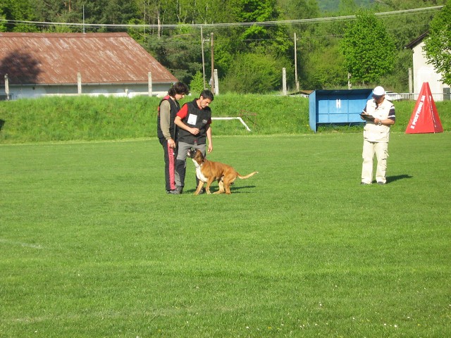 www.atibox.net * www.euroboxer.eu * www.boxergenealogia.eu